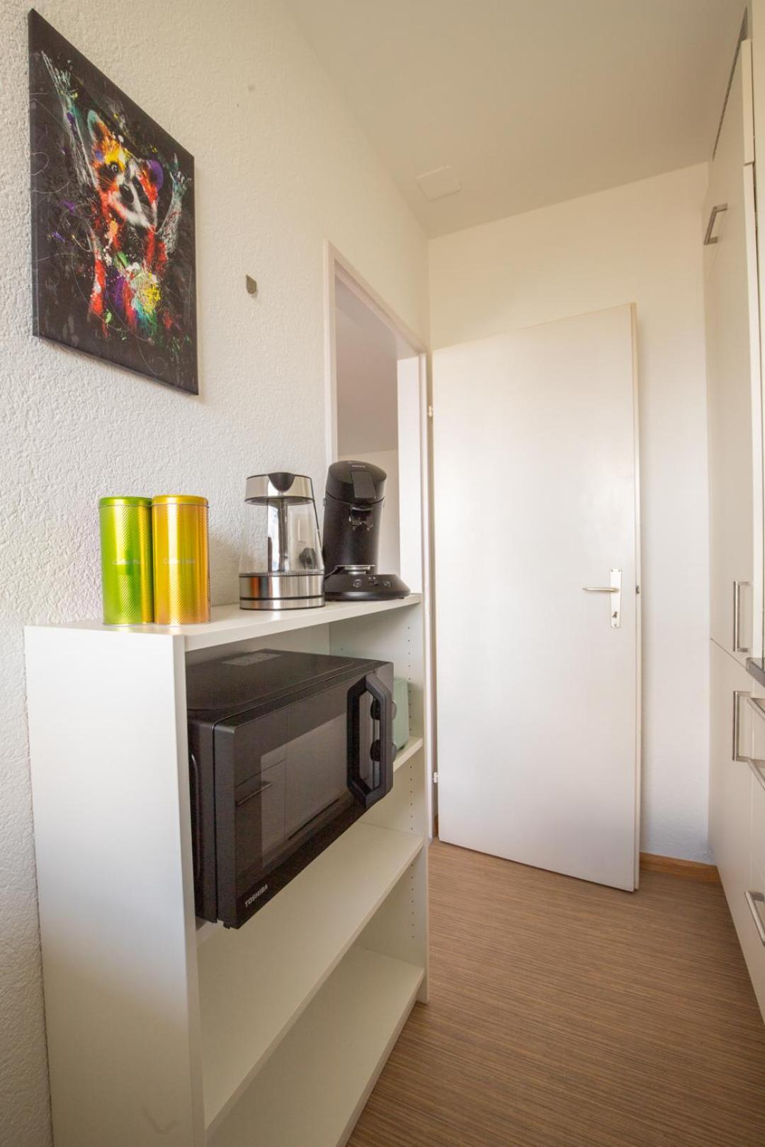 Special Blue Tiger Apartment Basel, Messe Kleinbasel 10-Star Kültér fotó