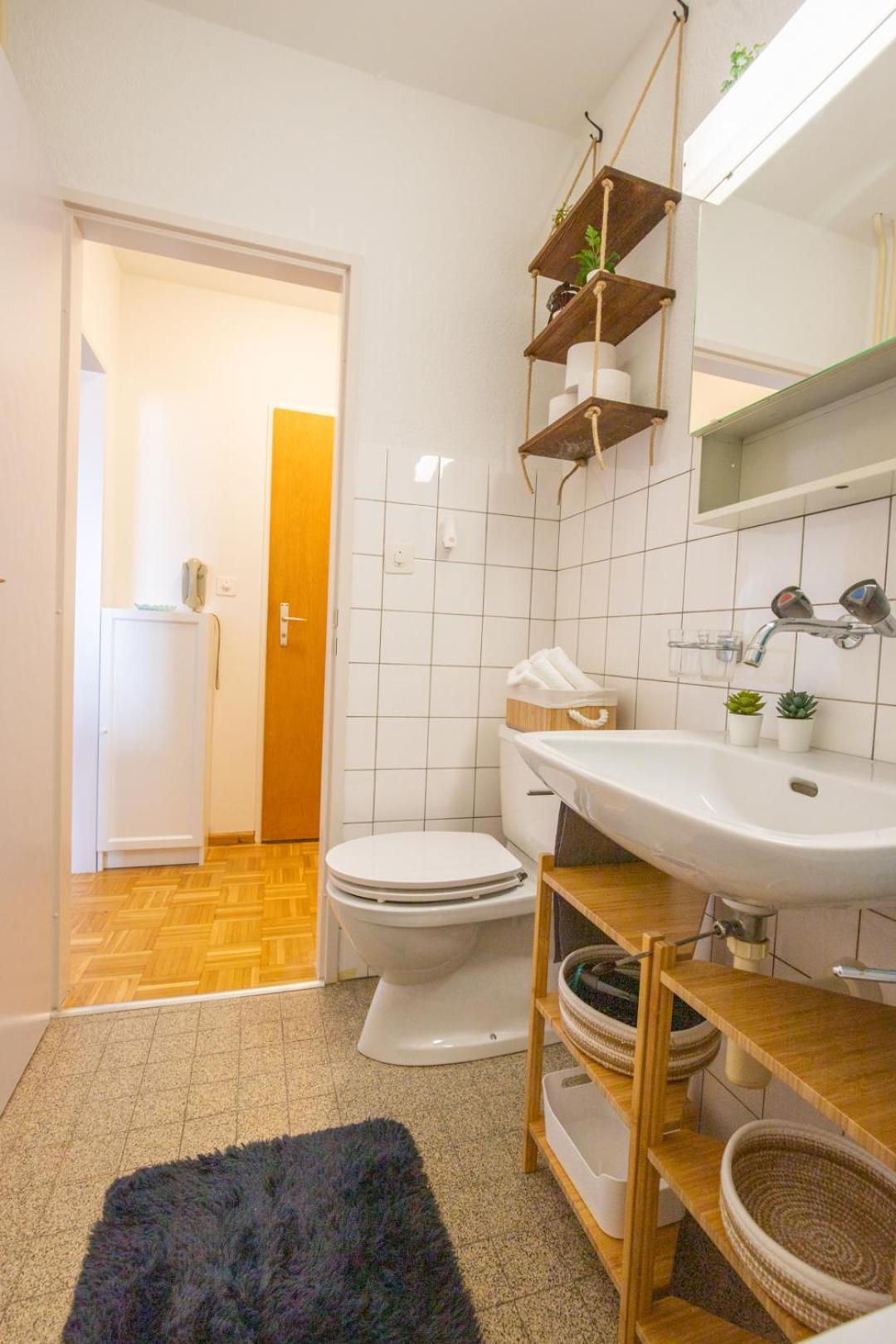 Special Blue Tiger Apartment Basel, Messe Kleinbasel 10-Star Kültér fotó